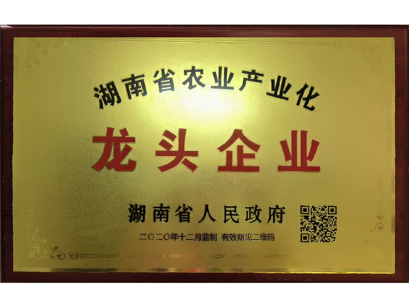 岳陽(yáng)市漁之源食品有限公司,岳港漁都,洞庭魚港,散稱系列,田螺系列,臭豆腐加工，香豆腐加工，烤脖加工，魚仔,鴨排加工、雞丁加工代加工